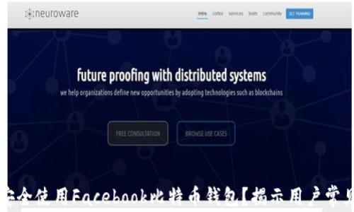 
如何安全使用Facebook比特币钱包？揭示用户常见痛点