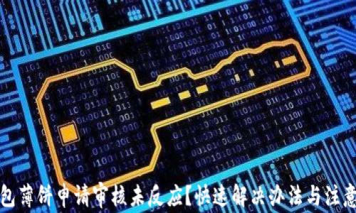 
TP钱包薄饼申请审核未反应？快速解决办法与注意事项