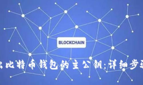 如何安全导出比特币钱包的主公钥：详细步骤与注意事项