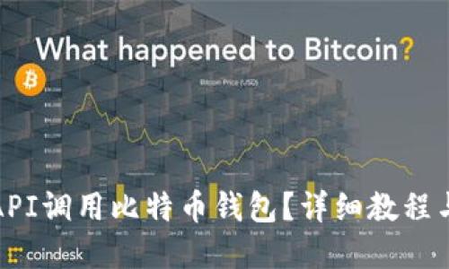 如何通过API调用比特币钱包？详细教程与实用技巧