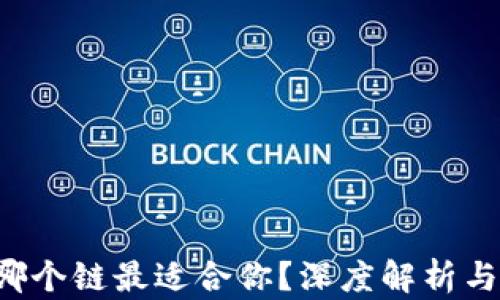 
t p钱包选择哪个链最适合你？深度解析与用户痛点解决