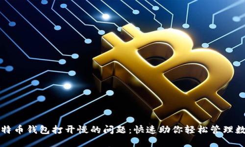 解决比特币钱包打开慢的问题：快速助你轻松管理数字资产
