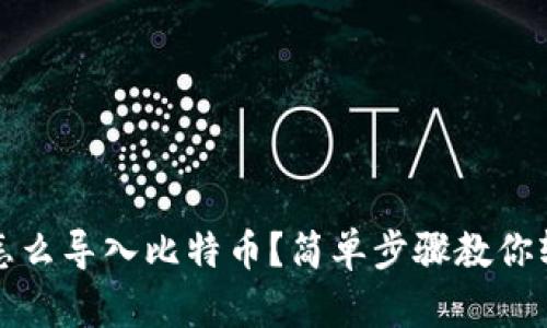 钱包里怎么导入比特币？简单步骤教你轻松实现