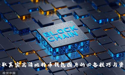 获取真实高清比特币钱包图片的必备技巧与资源