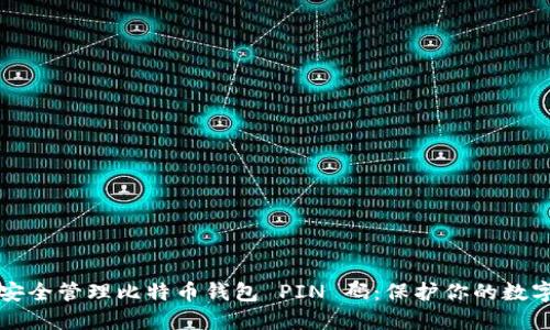 如何安全管理比特币钱包 PIN 码：保护你的数字资产