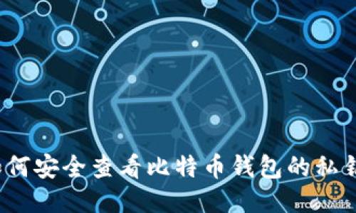 如何安全查看比特币钱包的私钥？