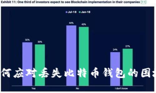 如何应对丢失比特币钱包的困境？