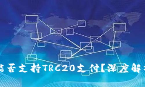 以太坊钱包能否支持TRC20支付？深度解析与实用指南