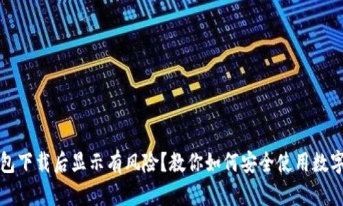 TP钱包下载后显示有风险？教你如何安全使用数字钱包