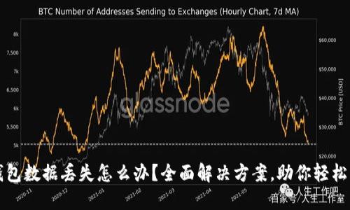 狗狗币钱包数据丢失怎么办？全面解决方案，助你轻松找回资产