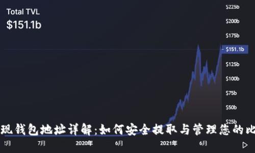 比特币提现钱包地址详解：如何安全提取与管理您的比特币资产