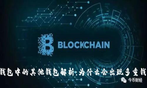 ### TP钱包中的其他钱包解析：为什么会出现多重钱包的现象？