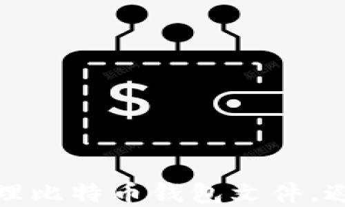 
如何安全管理比特币钱包文件，避免资产损失