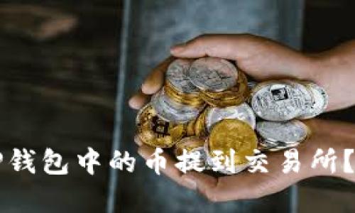 如何将TP钱包中的币提到交易所？实用指南