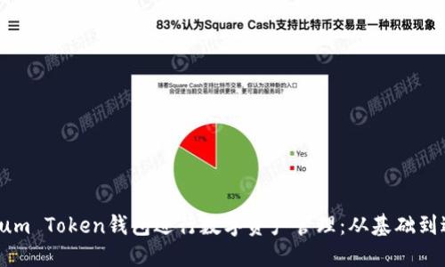 如何使用Sum Token钱包进行数字资产管理:从基础到进阶全攻略