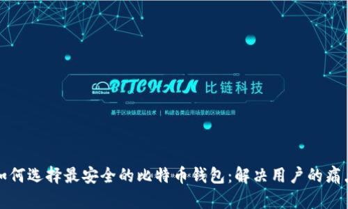 如何选择最安全的比特币钱包:解决用户的痛点