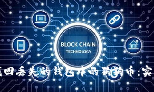 如何找回丢失的钱包中的狗狗币：实用指南