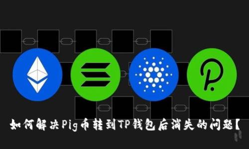 如何解决Pig币转到TP钱包后消失的问题？