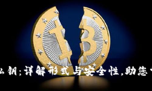 比特币钱包私钥：详解形式与安全性，助您掌控数字资产