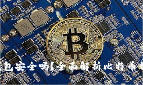 苹果比特币钱包安全吗？全面解析比特币钱包的安全性！