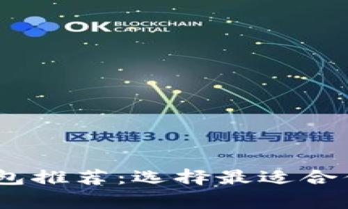 USDT常用钱包推荐：选择最适合你的储存方式