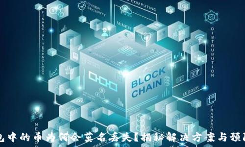 TP钱包中的币为何会莫名丢失?揭秘解决方案与预防指南