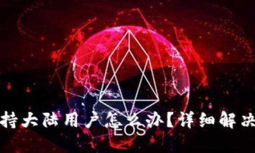 TP钱包不支持大陆用户怎么办?详细解决方案与技巧