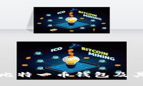 如何安全使用比特一币钱包及其官方网站指南