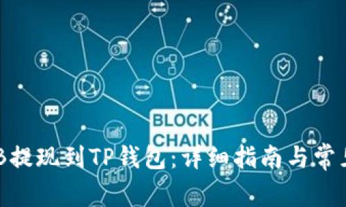 如何将BNB提现到TP钱包：详细指南与常见问题解答