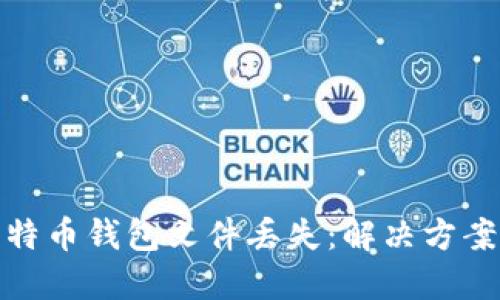 如何应对比特币钱包文件丢失：解决方案与预防措施