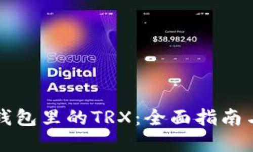 如何获取钱包里的TRX:全面指南与实用方法