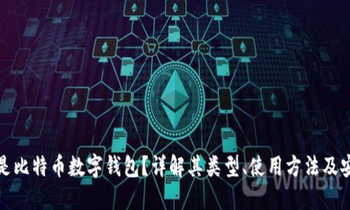 什么是比特币数字钱包？详解其类型、使用方法及安全性