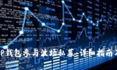 如何使用TP钱包参与波场私募：详细指南及注意事