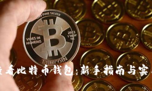 如何查看比特币钱包:新手指南与实用技巧