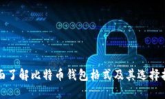 全面了解比特币钱包格式