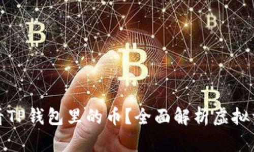 如何查看TP钱包里的币？全面解析虚拟资产管理