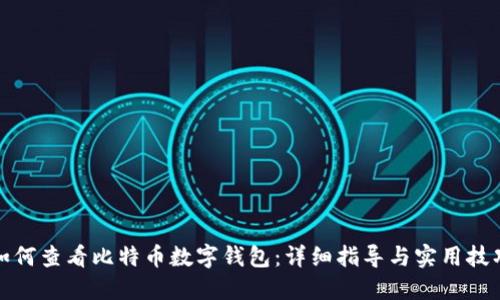 如何查看比特币数字钱包：详细指导与实用技巧