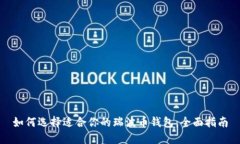 如何选择适合你的瑞波币