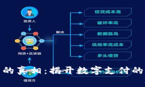 数字钱包的真相：揭开数字支付的神秘面纱