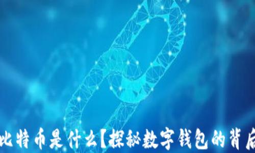 
比特币是什么？探秘数字钱包的背后