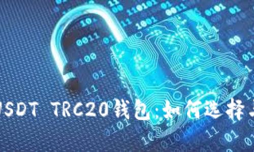 全面解析USDT TRC20钱包：如何选择与使用指南