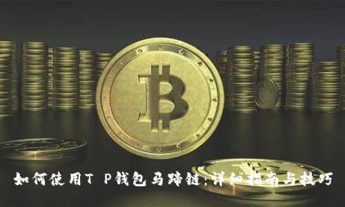 如何使用T P钱包马蹄链：详细指南与技巧
