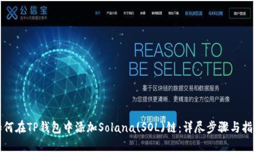 如何在TP钱包中添加Solana(SOL)链：详尽步骤与指南
