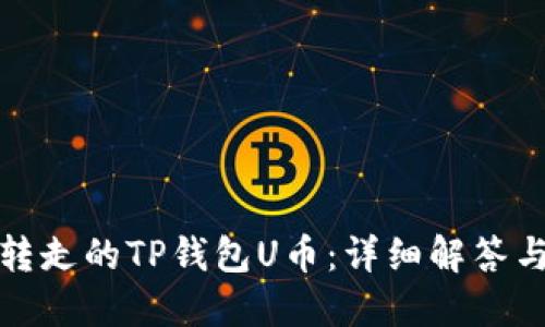 如何找回转走的TP钱包U币：详细解答与应对方案
